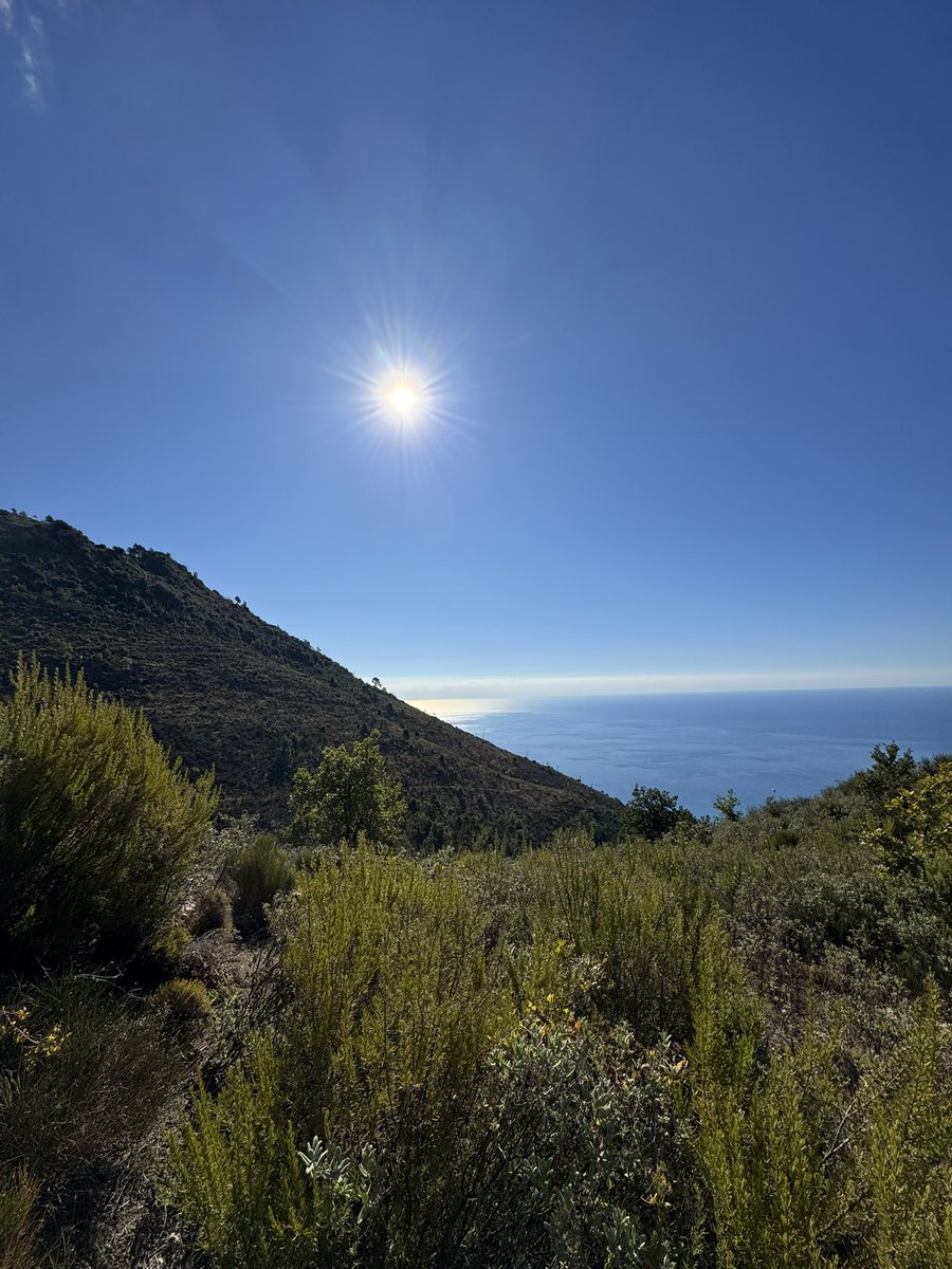 kevosu3's tweet image. 5 miles, 1,300 foot climb, worth every step