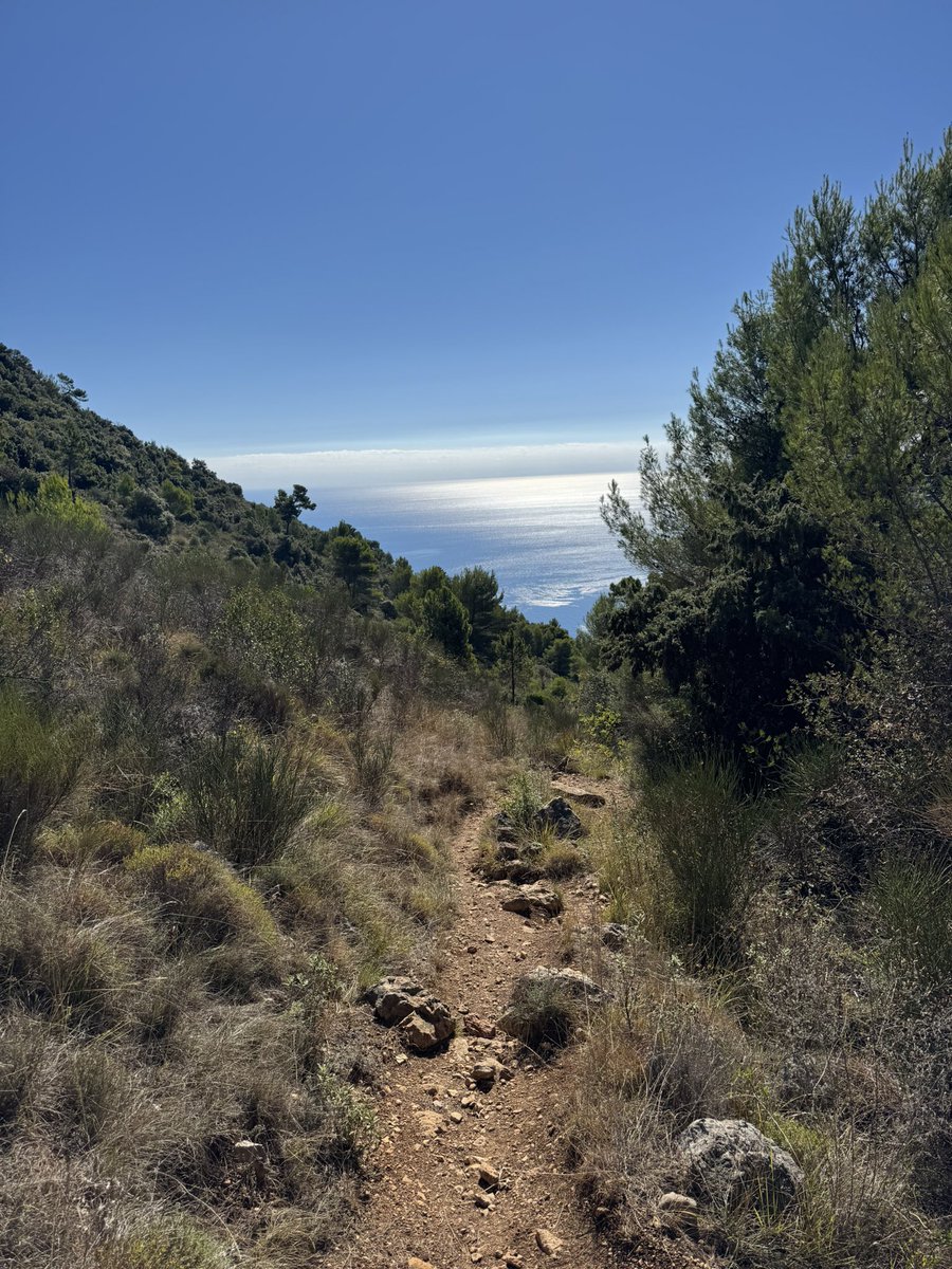 kevosu3's tweet image. 5 miles, 1,300 foot climb, worth every step
