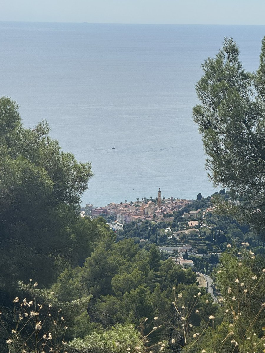 kevosu3's tweet image. 5 miles, 1,300 foot climb, worth every step