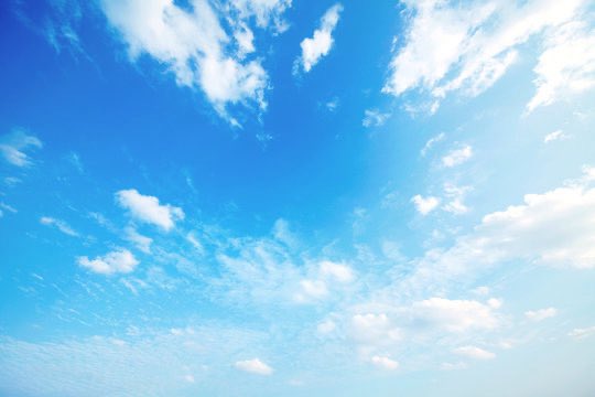 久しぶりに甥っ子とお出かけ。楽しかった。彼の祈りが叶うよう祈ってるよ