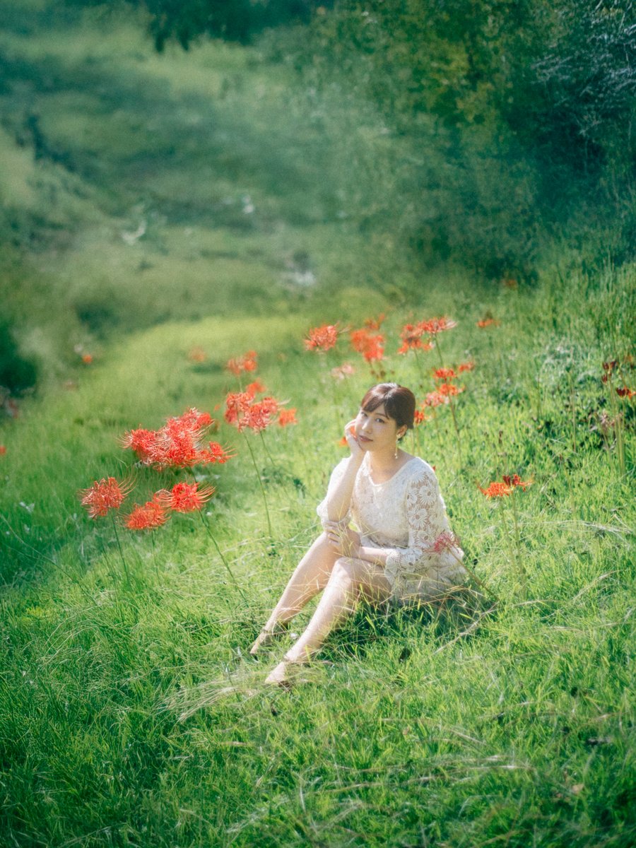 50d30141d33514's tweet photo. The red spider lilies are starting to bloom, which usually means autumn is here-but in Japan this year, fall just doesn’t want to show up yet.🌷
@risadayo0602 https://t.co/HnoXV1MhNM