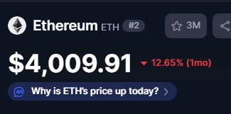 Stuart J 🌞 tweet media