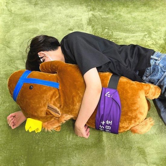Umasite2022's tweet image. 馬siteの #ハグぐるみ たちをご紹介🫶
#べラジオオペラ
#エアジハード
#ミックファイア
#イグナイター
大きいぬいぐるみって憧れですよね🌸
さすがにこのデカさは連れて歩けないだろう‼️挑戦者求😁🙌
▽ハグぐるみはここから
umasite2022.shop/?mode=cate&amp;amp;cbi…
#競馬 #ぬいぐるみ #でかかわ