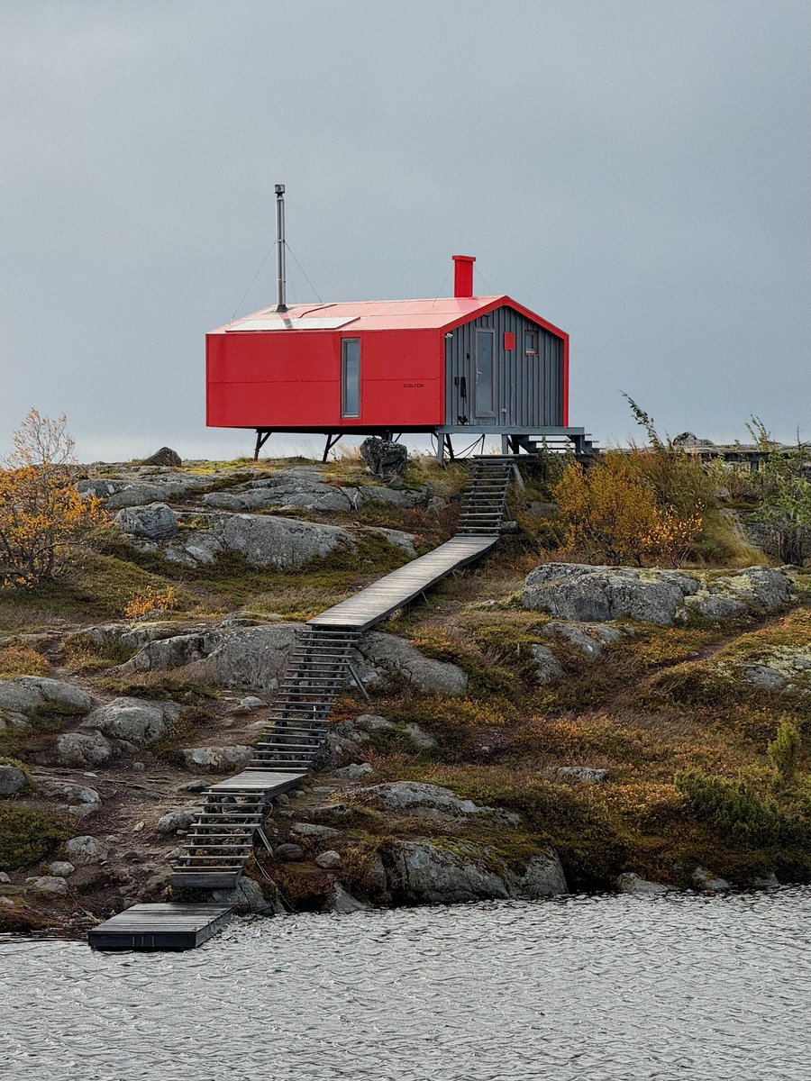 фуфендер tweet media