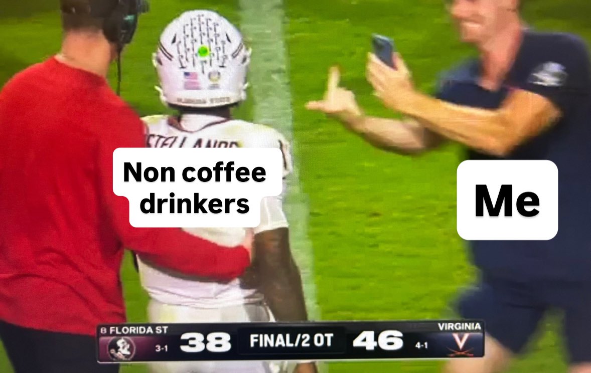 Big Cat tweet media