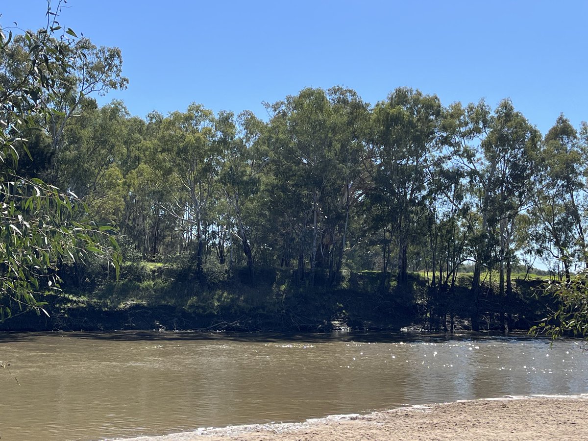 Wagga