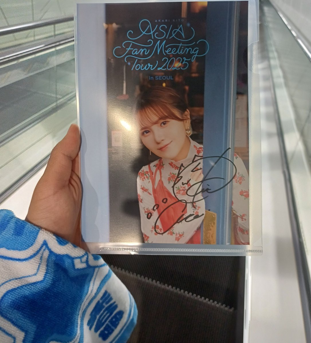 키토 아카리 좋아하면 매일 행복