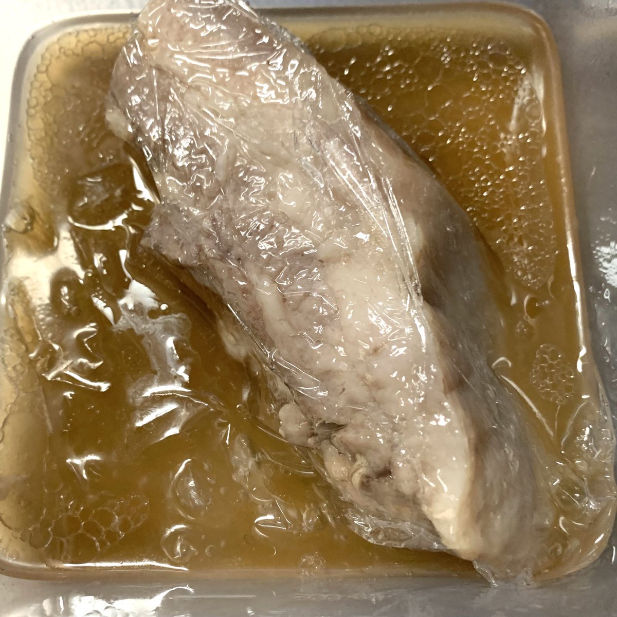 ☆レア☆ レピッシュ　LA-PPISCH 狂市さんデザイン　ラーメン鉢 ☆レア☆ レピッシュ LA-PPISCH 狂市さんデザイン ラーメン鉢