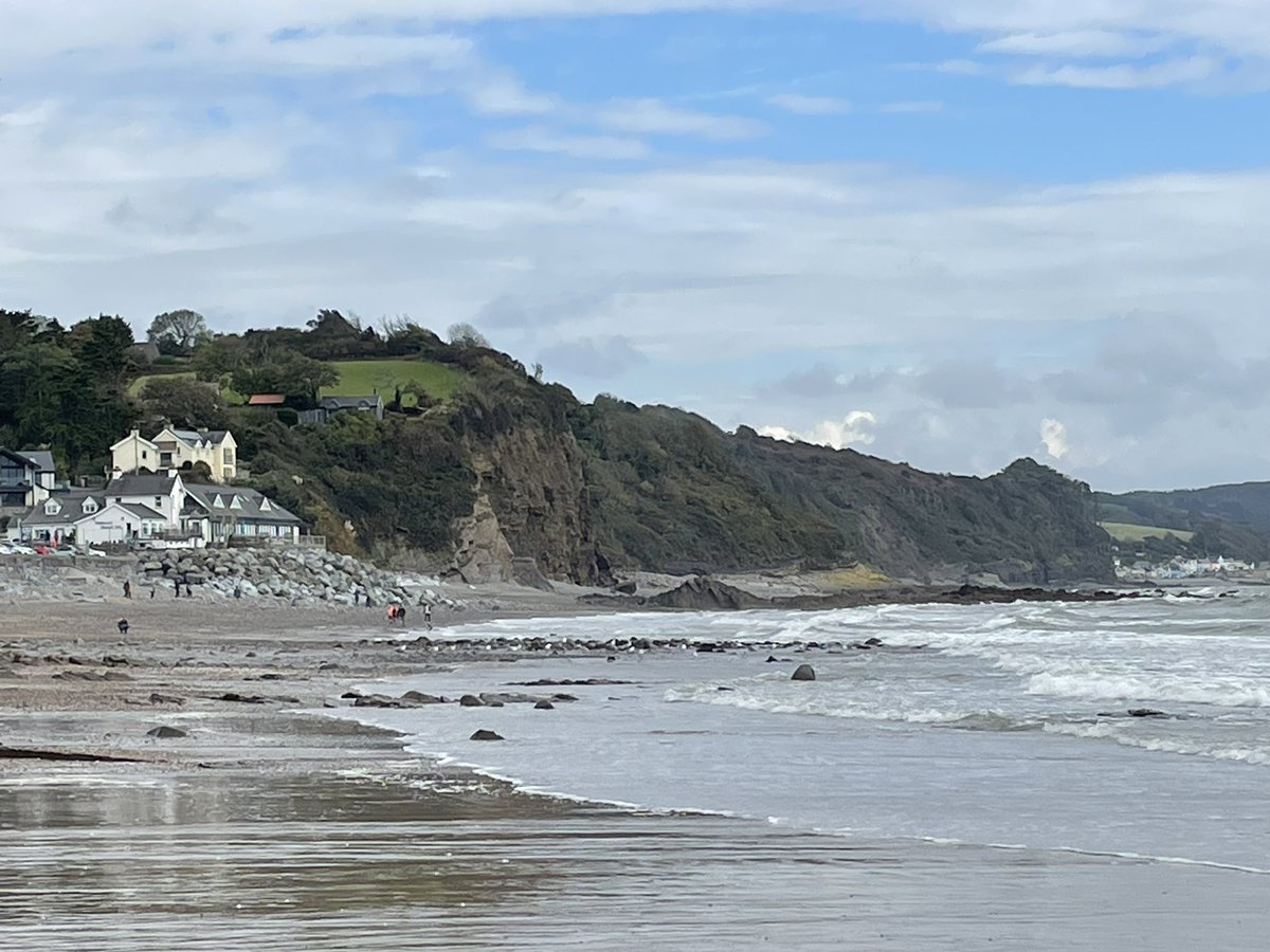 Fran Thomas tweet media