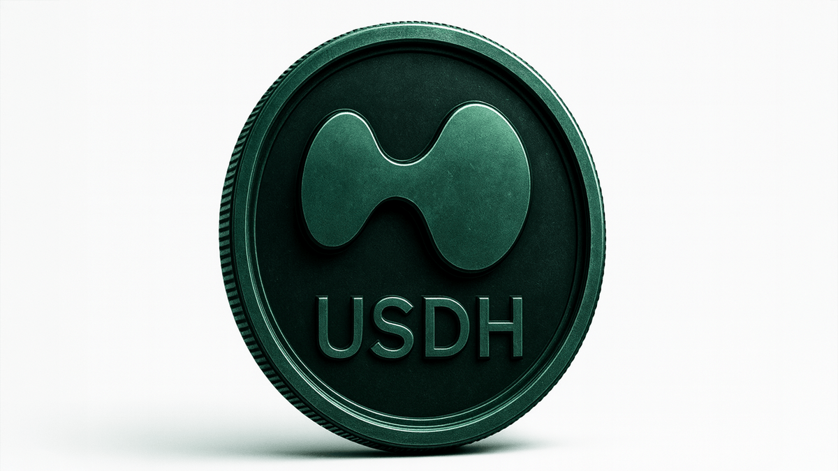 USDH issuer Native Markets: 200,000 HYPE tokens have been pledged and locked for 3 years