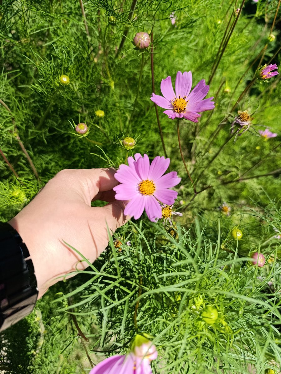Kendine inandığında, başkalarının şüphesi sana sadece Rüzgar olur.