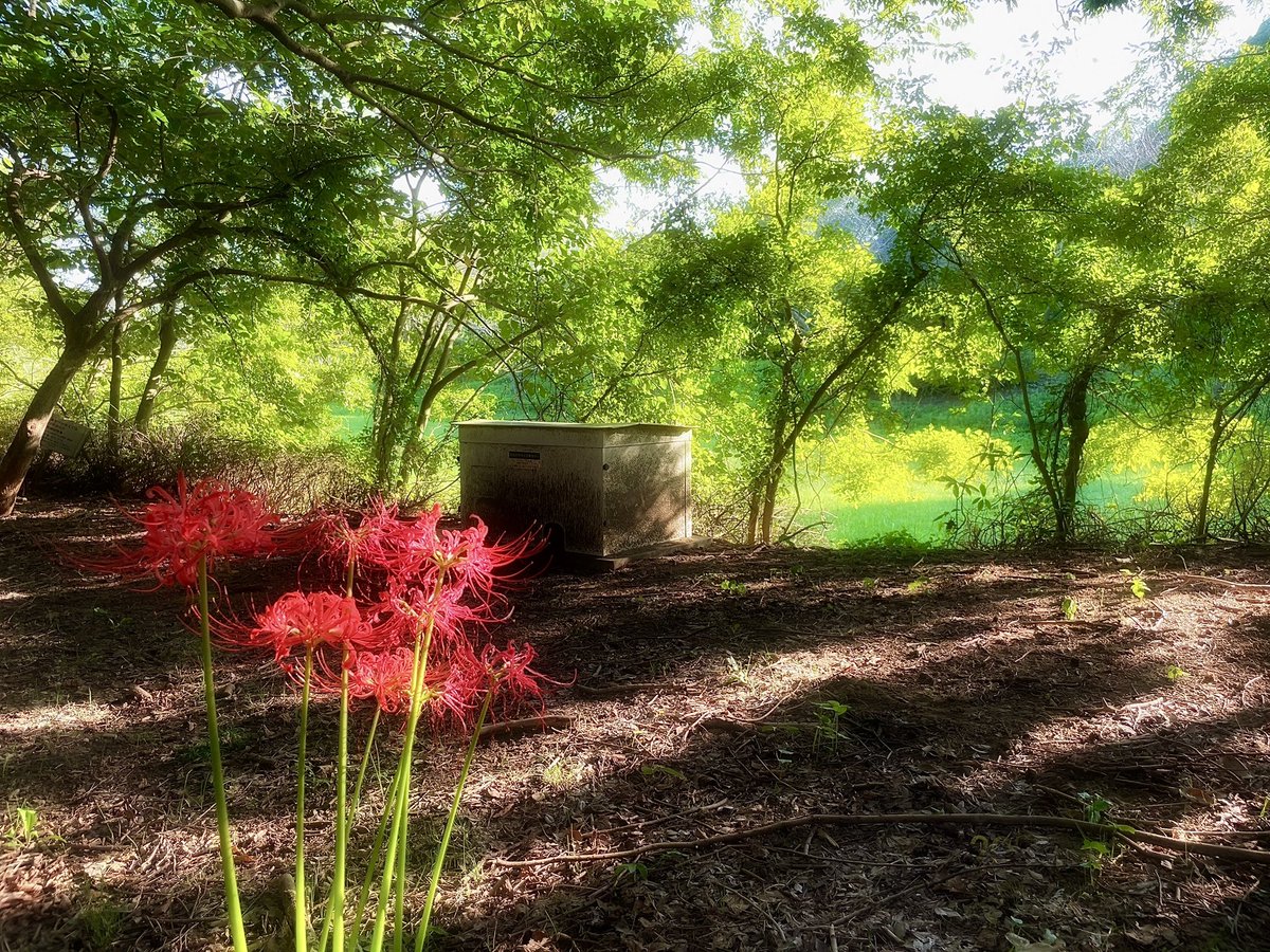 空気 (@tabi_0101) on Twitter photo 