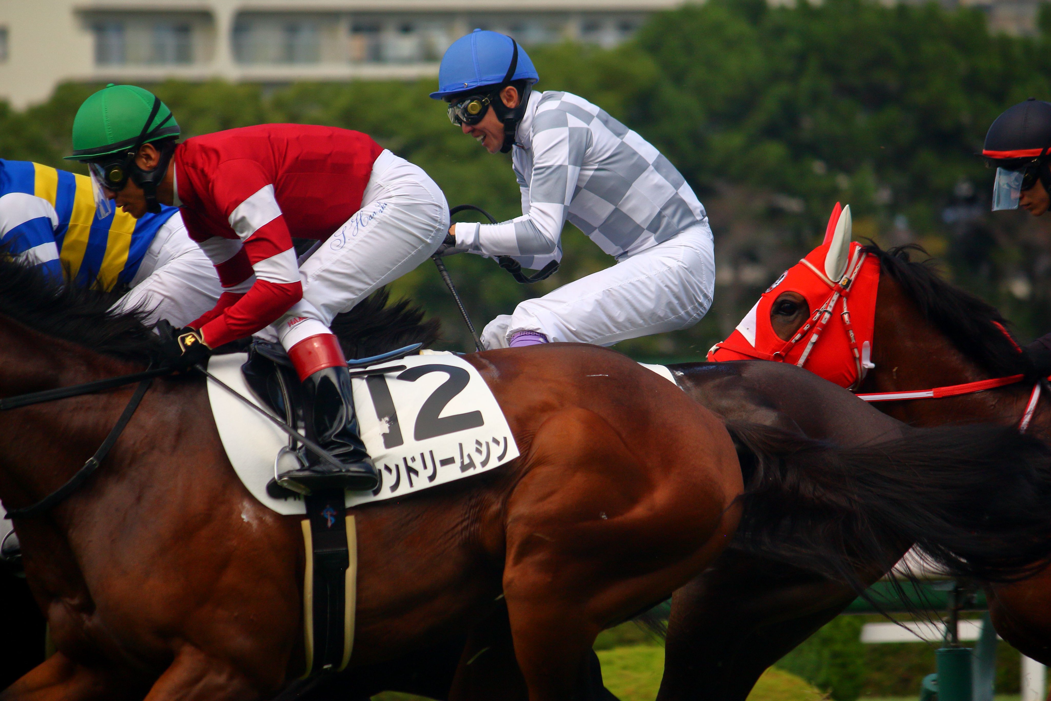 2178❣️ 瑪瑙　馬　唐馬　戦闘馬 2178❣️ 瑪瑙 馬 唐馬 戦闘馬 Shadai Thoroughbred Club 社台