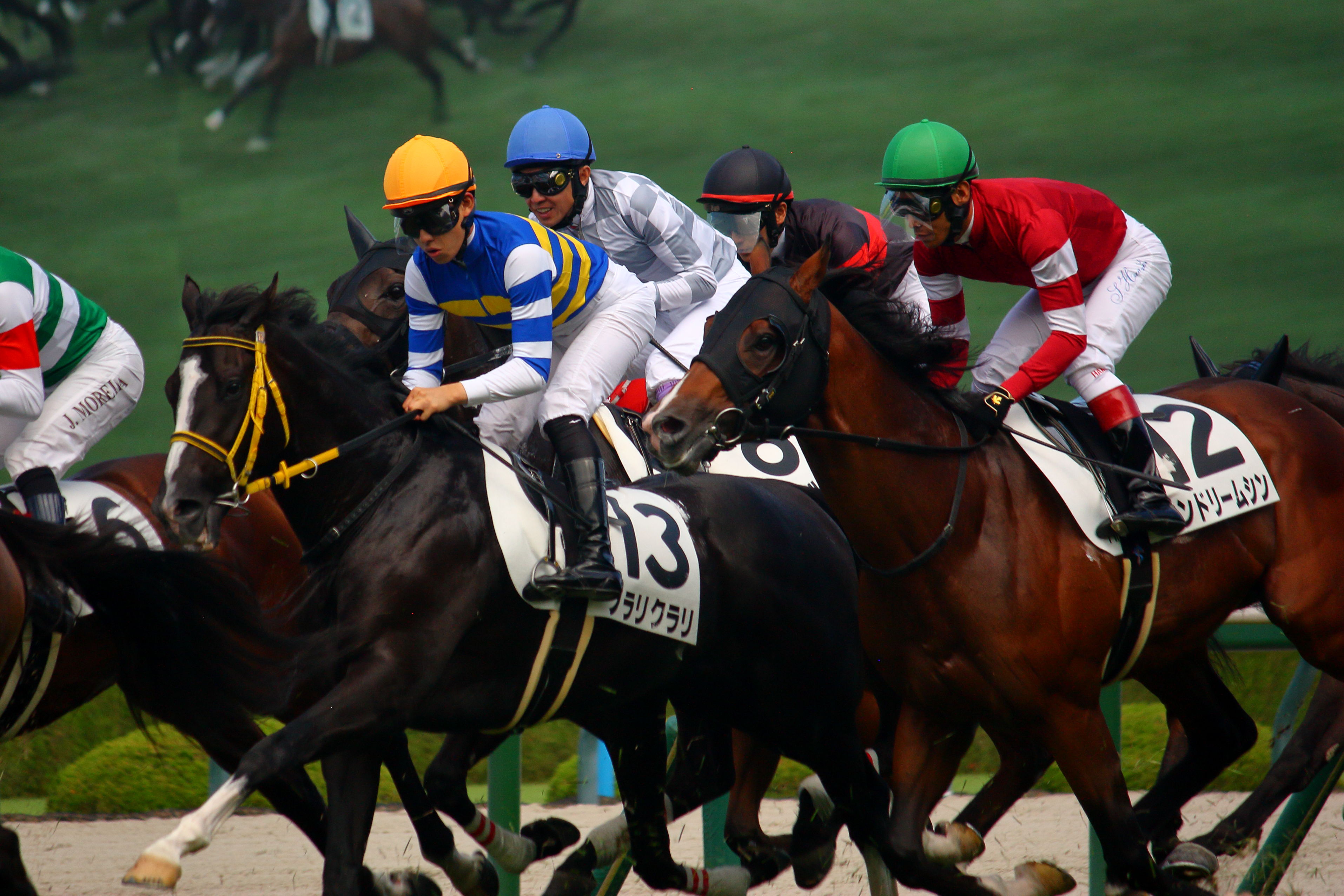 2178❣️ 瑪瑙　馬　唐馬　戦闘馬 2178❣️ 瑪瑙 馬 唐馬 戦闘馬 Shadai Thoroughbred Club 社台