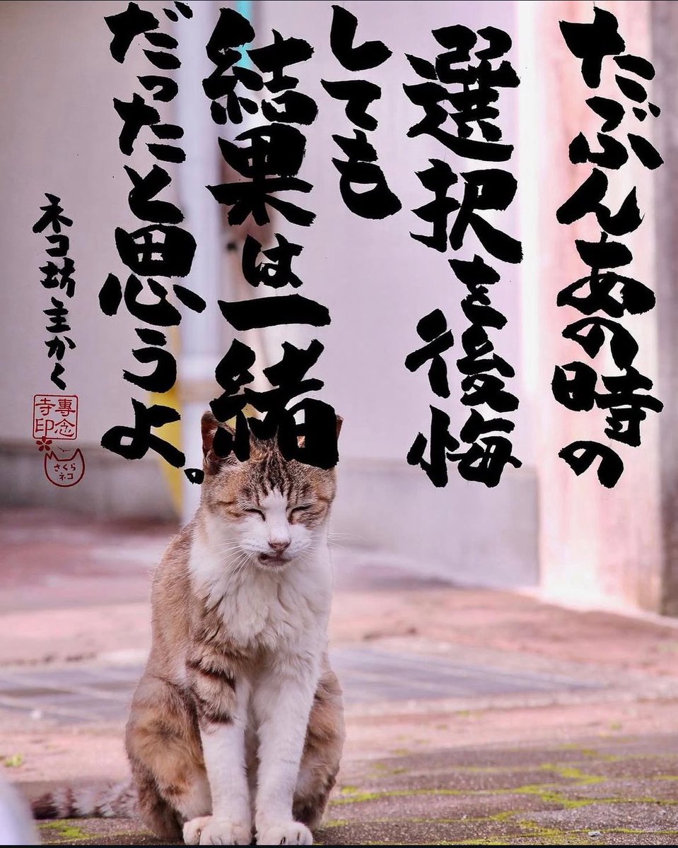 たんたんさん。ご確認お願いします 高齢者・難聴者向けチャイム】玄関の呼び出しを強力通知！ | QQベル