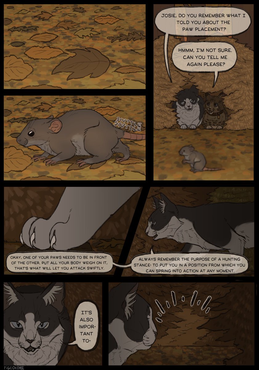 BOOK 1: 
Page 17