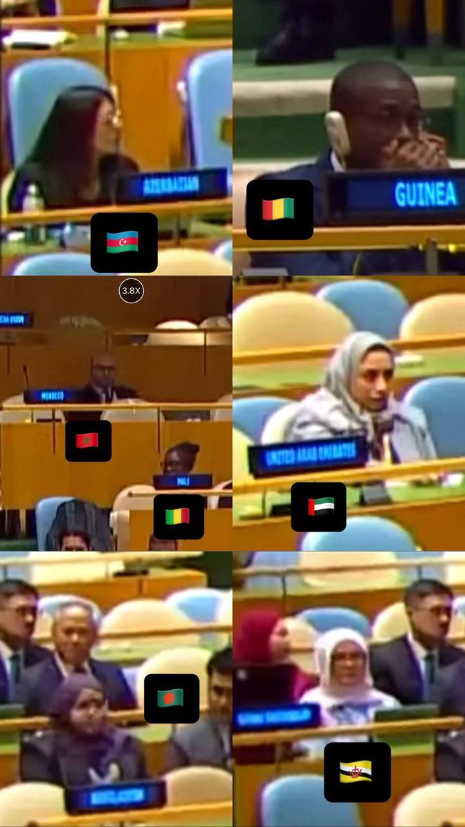 Here is the (non-exhaustive) list of Arab and Muslim-majority countries that stayed in the room to listen to Benjamin Netanyahu's speech:

• Sultanate of Brunei 🇧🇳 
• Djibouti 🇩🇯 
• United Arab Emirates 🇦🇪 
• Morocco 🇲🇦 
• Mali 🇲🇱 
• Albania 🇦🇱 
• Guinea 🇬🇳 
• Azerbaijan