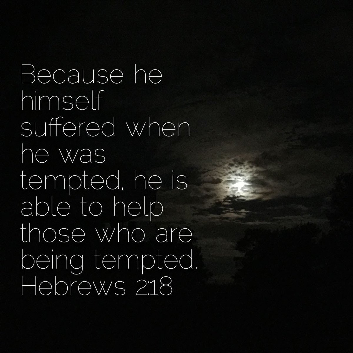 Faith Church (@jaxnaz) on Twitter photo 