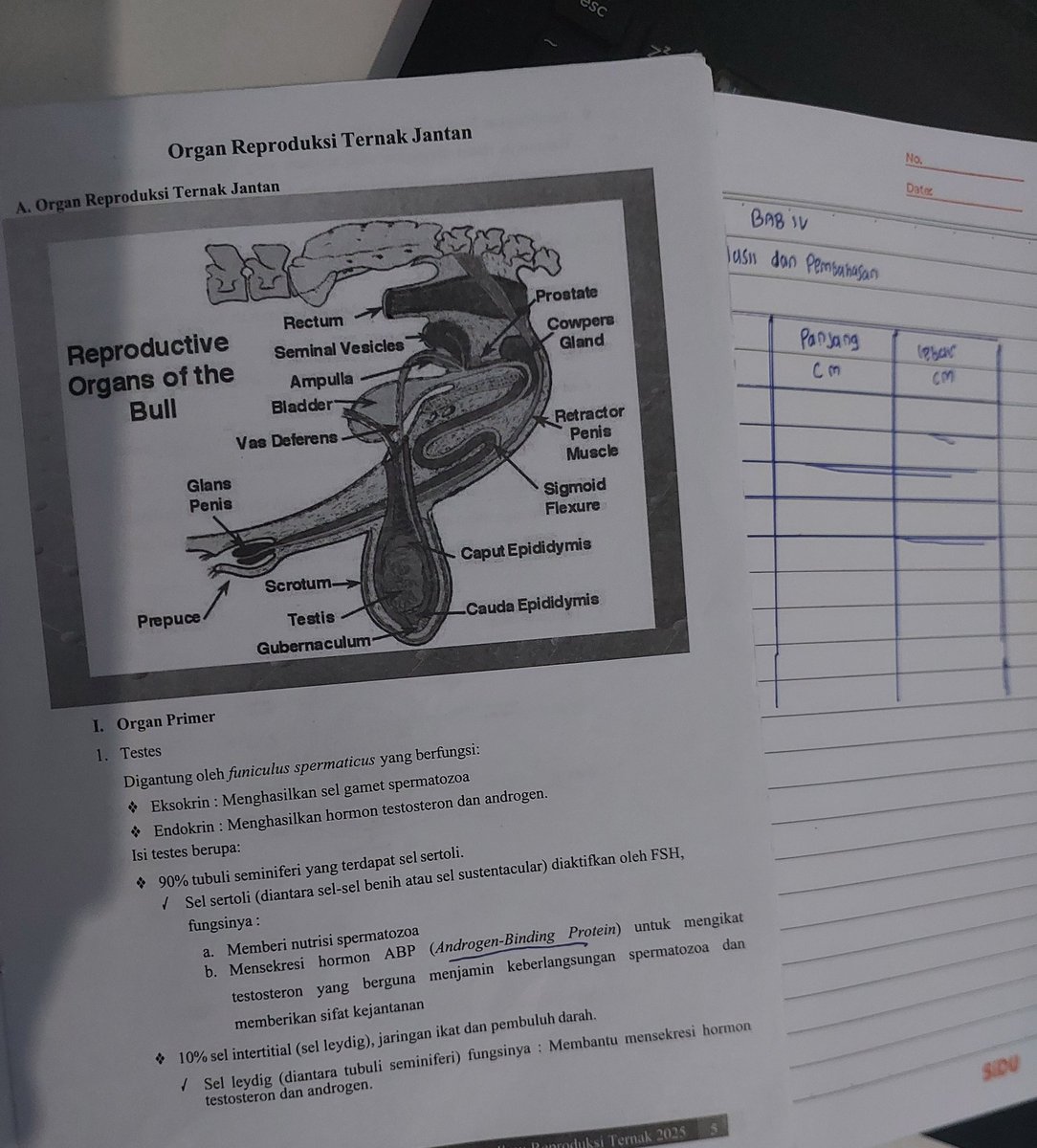 langitspacee's tweet image. ⋆˙ skystudy 27.09.25₊˚⊹ᰔ

— 4 h 30 min

📖 : The practicum report is tiring and there is still one more report but I like it because it keeps me busy and keeps me awake. 

🏷: #studytwt #Studylog