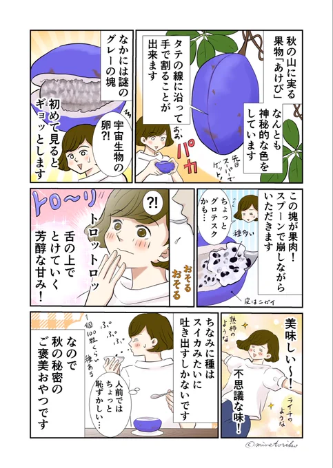 秋の山の恵みあけび。ミステリアスな色、果肉はちょっとグロテスク…😅でも食べてびっくり、舌の上でトロける上品な甘さ👀‼️#あけび #エッセイ漫画 #コミックエッセイ #漫画が読めるハッシュタグ #日常漫画 #野菜ソムリエ 
