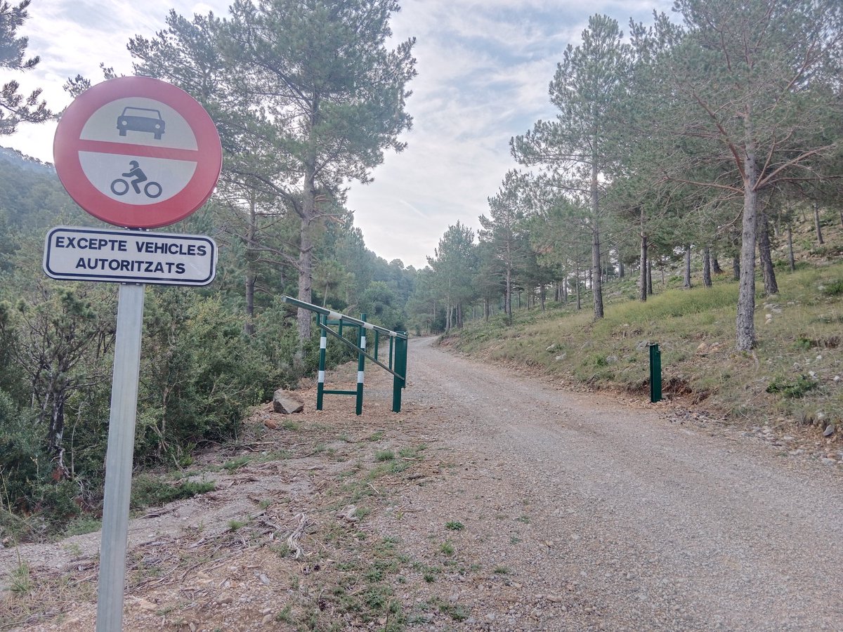 LIFE_UNCINATA's tweet photo. La regulació d'accessos a vehicles a motor, a la Muntanya d'Alinyà, és una de les actuacions previstes en el projecte. Regular la freqüentació humana en espais d'alt valor ecològic, és indispensable per reduir l'impacte sobre l'hàbitat del #PiNegre
https://t.co/K4OMev0p1v https://t.co/TWW2S7h26z