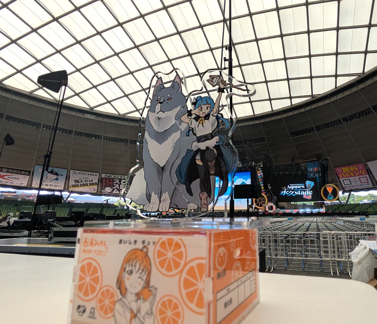 漁ってみたけど当日の写真はこれだけだった🍊⏳️