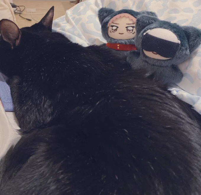 黒猫増えました