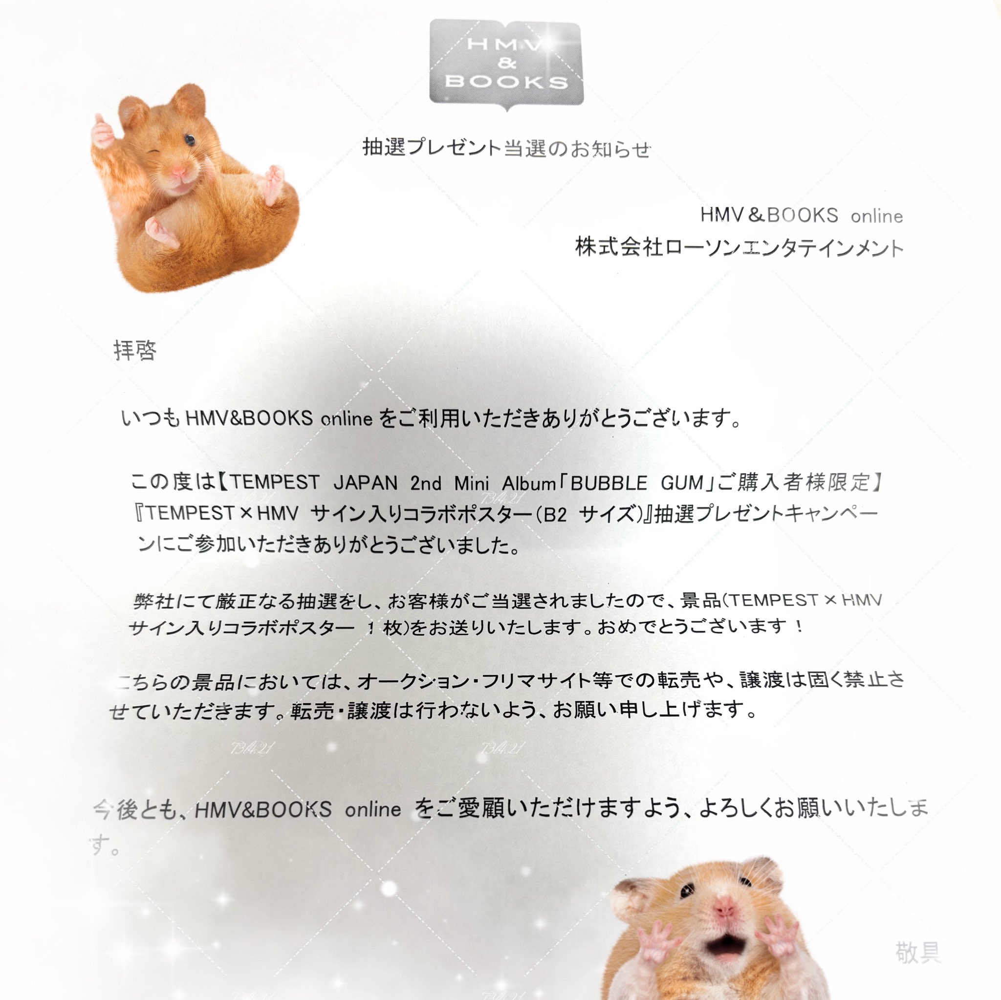 WILLIAMEST サインポスター 2025 BBM 高瀬みゆき 公式サインカード – 闘道館