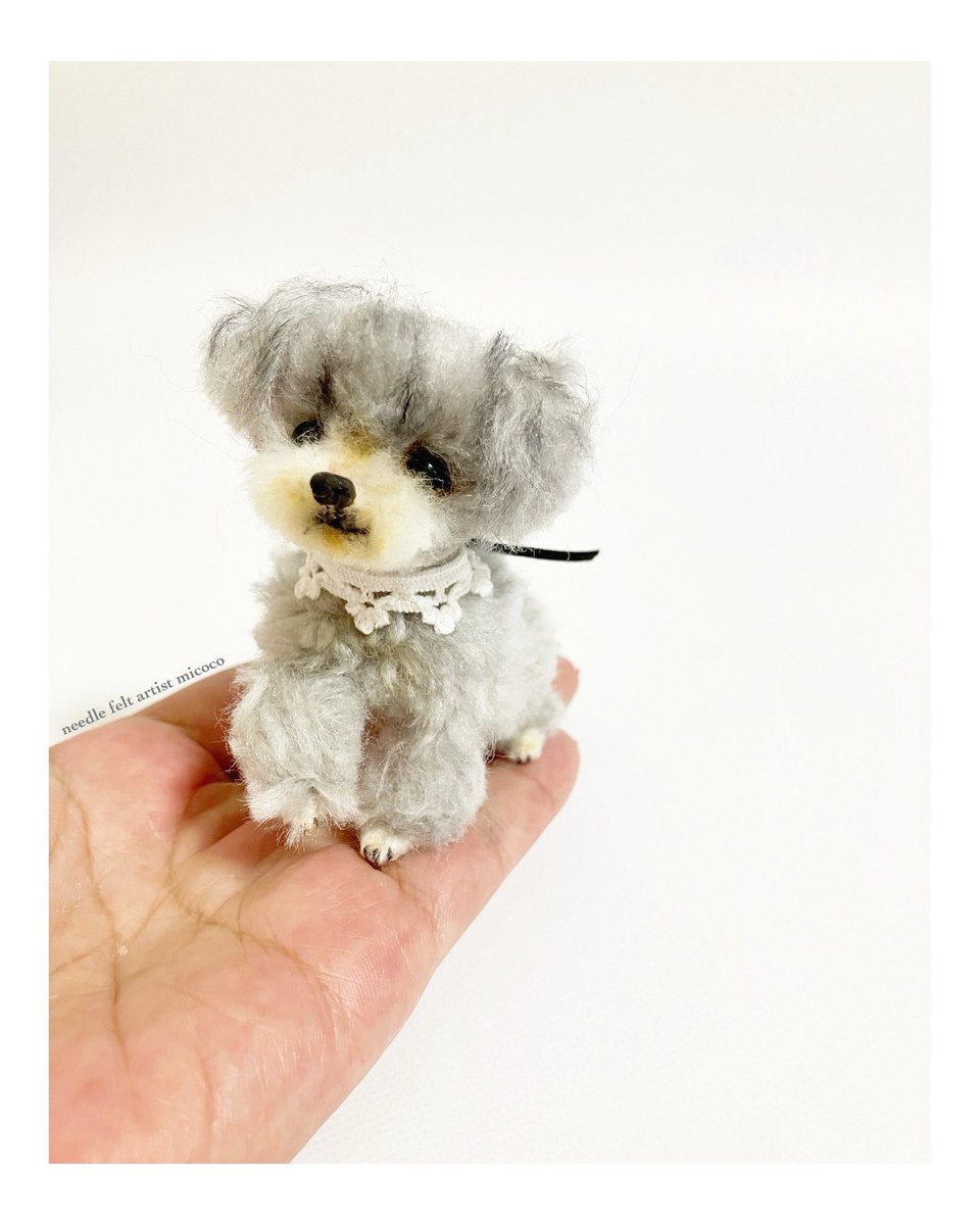 dog_micoco's tweet image. #うちの子オーダー受付中 #羊毛フェルト犬 
#羊毛フェルト作家みここ 

今日のわんこ🐶