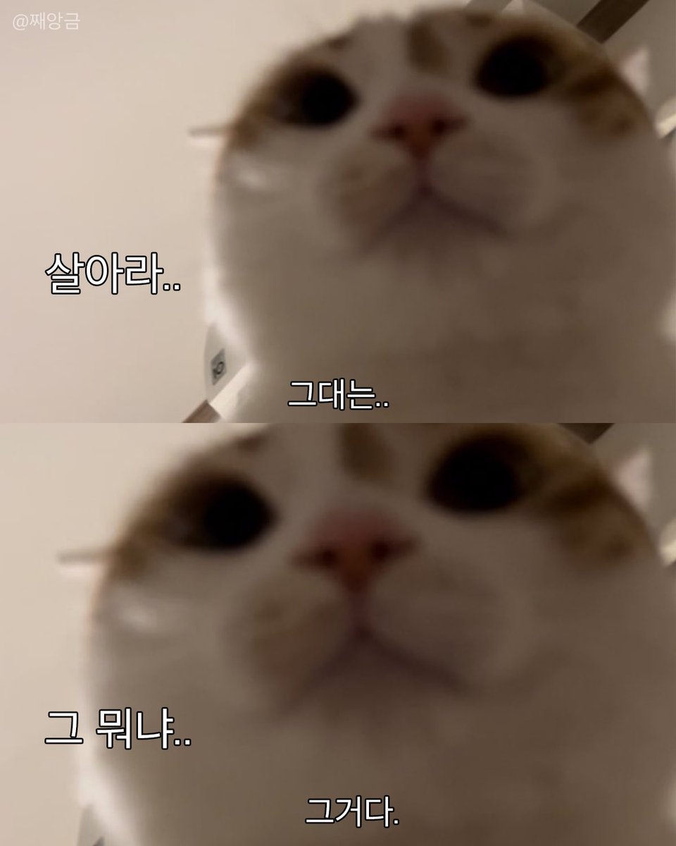아무튼 그거 있잖아 그거다. 그니까 살아라 나한테 뒤지기 실으면.