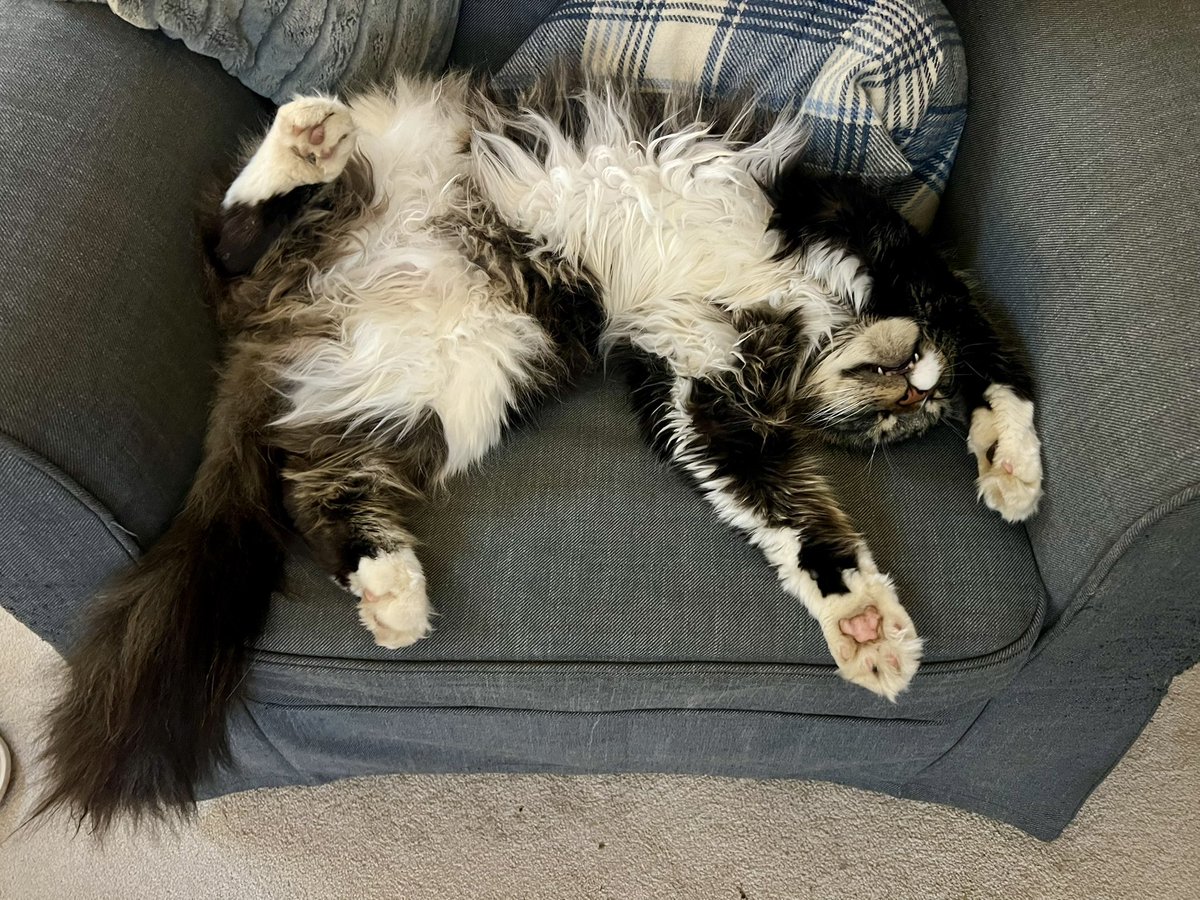 Stephanie deGiorgio tweet media