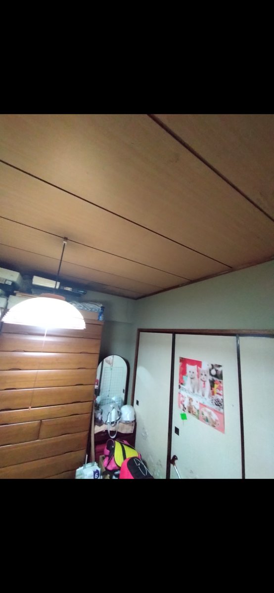 WRenovation's tweet image. 江東区の南砂のマンションの工事が終わりました。
ネズミとハクビシンでお困りで開かずのふすまをオープンスペースにしてみました。
とてつもなく可愛い猫ちゃんにも喜んでもらえたら嬉しいです。
#リノベーションダブル
#リフォーム
#江東区
#猫ちゃんかわいい