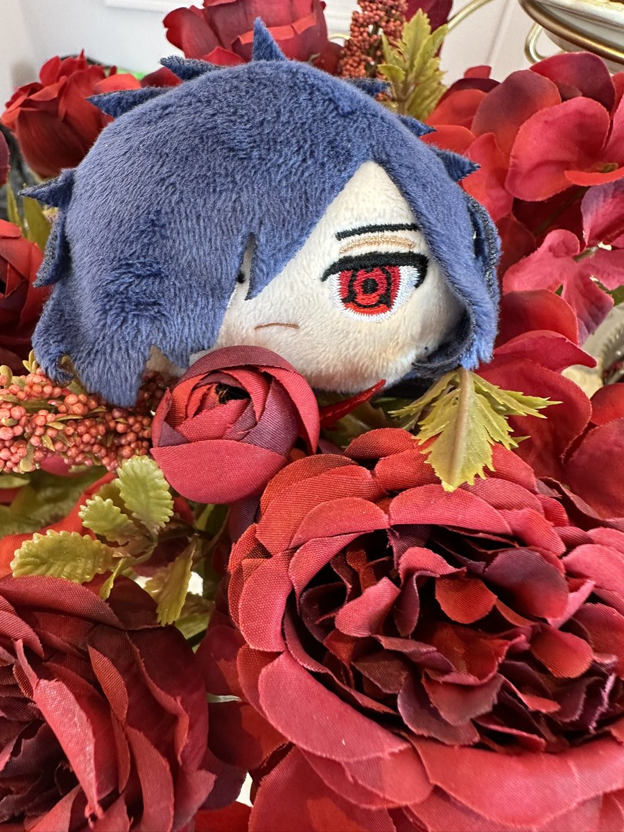 🌺璇（ゼン） tweet media