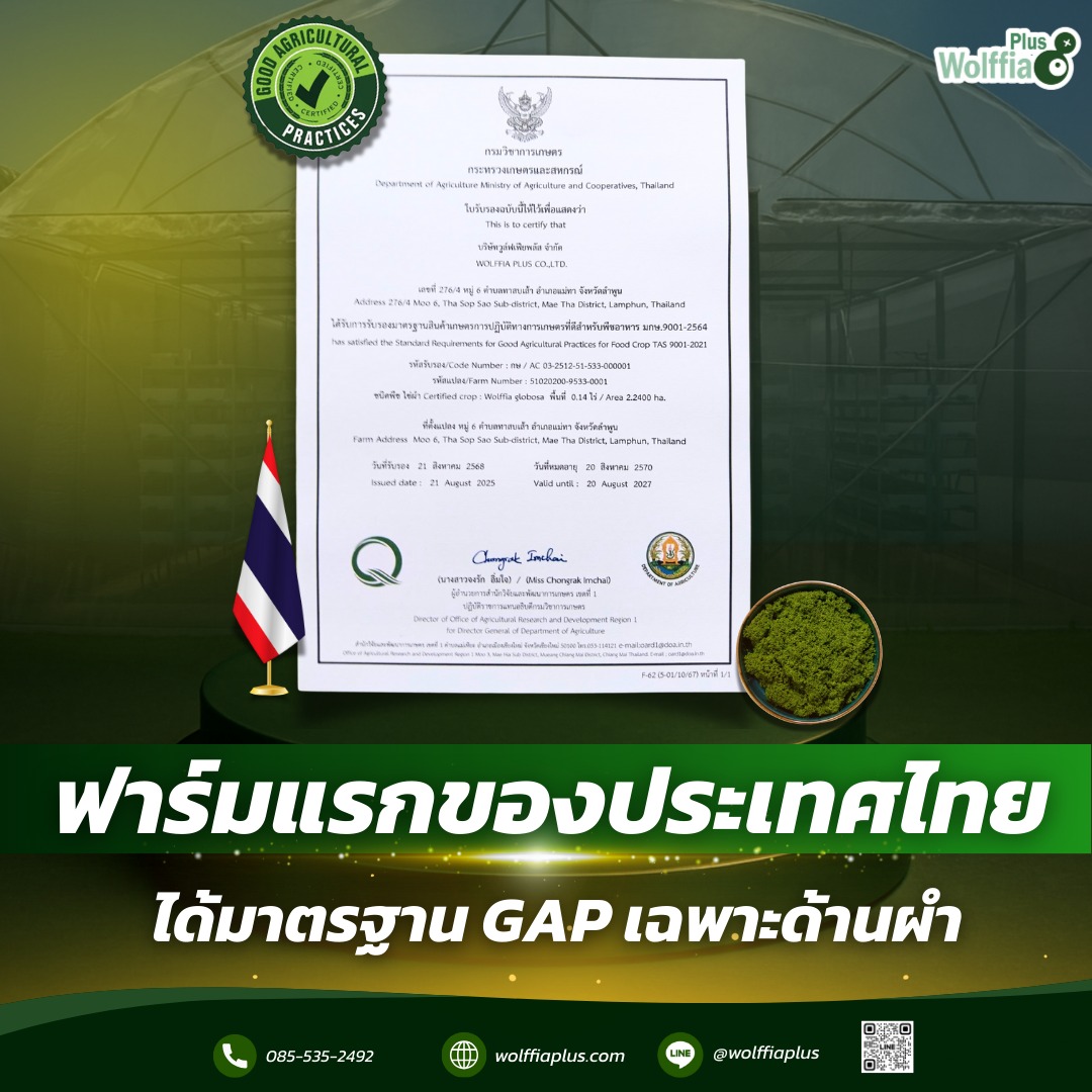chiwit75634's tweet photo. Wolffia Plus ฟาร์มผำแห่งแรกในประเทศไทยที่ได้รับการรับรองมาตรฐาน GAP สำหรับผำ พร้อมรหัสใบรับรอง 00001 🎉🥇
ติดตาม >>  https://t.co/Iis3UZM6qF

#ฟาร์มผำแรกในประเทศไทย #WolffiaPlus #มาตรฐานGAP #การเกษตรยั่งยืน #ฟาร์มผำอัจฉริยะ #ผำปลอดภัย #เกษตรอัจฉริยะ #เกตนภาฟาร์ม https://t.co/QCc79aMqVw