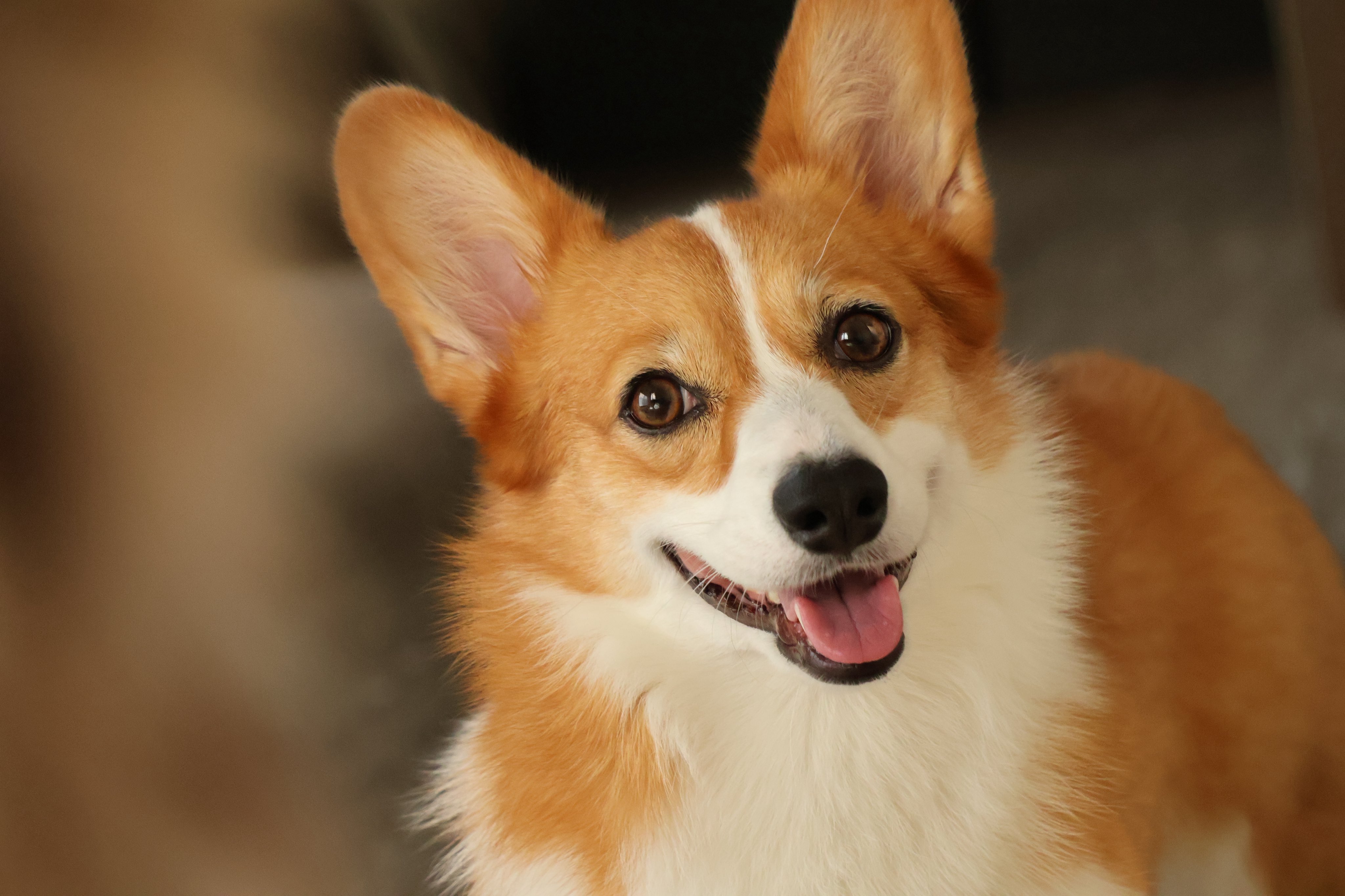 もっちゃん mocchitoy@instagram on Pinno: りっちゃんが向かって左