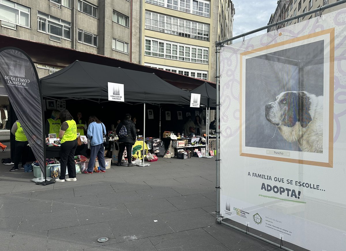 PazodeRaxoi's tweet photo. 🐶 A Praza Roxa acolle hoxe a xornada “a familia que se escolle. Adopta”, organizada por @Mocidade_Compos dentro do proceso de Orzamentos Participativos #CompostelaDecide e en colaboración co Refuxio de Bando e entidades animalistas.
Alí estivo a concelleira @maria_rzs https://t.co/ufdFBD7GVX