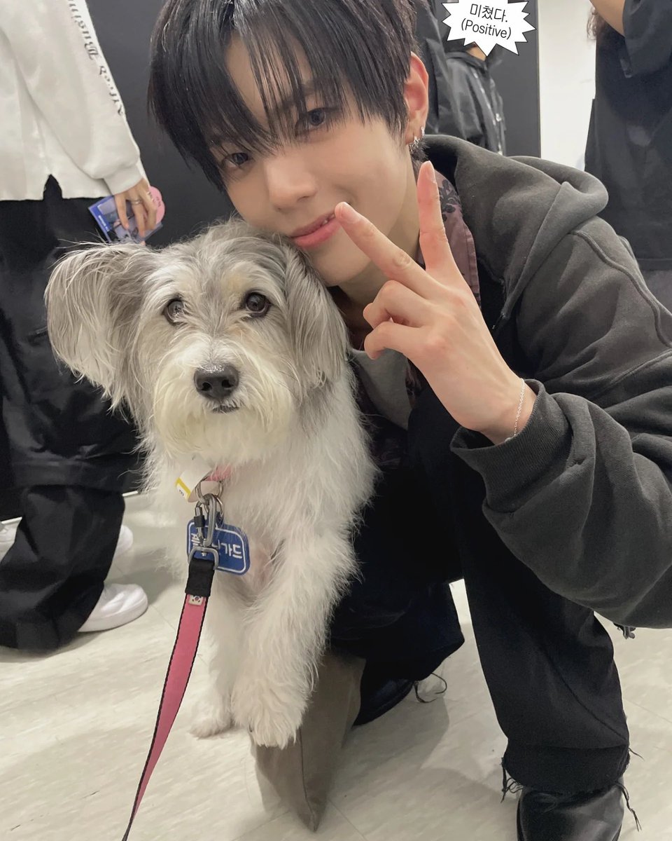 samgoopal's tweet photo. 춘배도 놀러오고.. 🐶🐶 https://t.co/1lTZtT3ILH