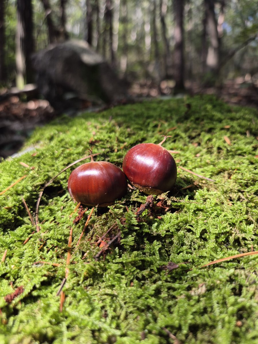 벌초라는 명분으로 농땡이 중