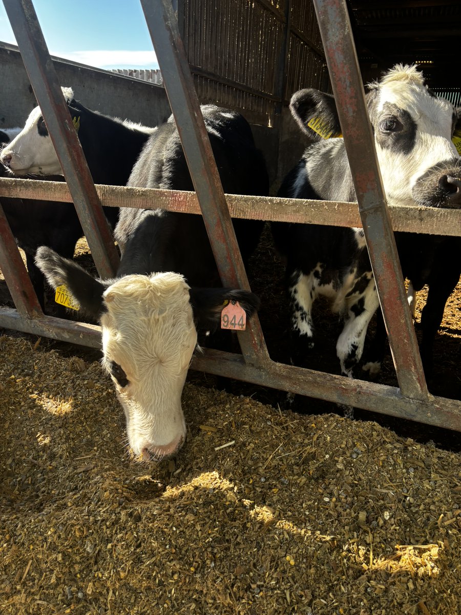 KWS UK Ltd tweet media