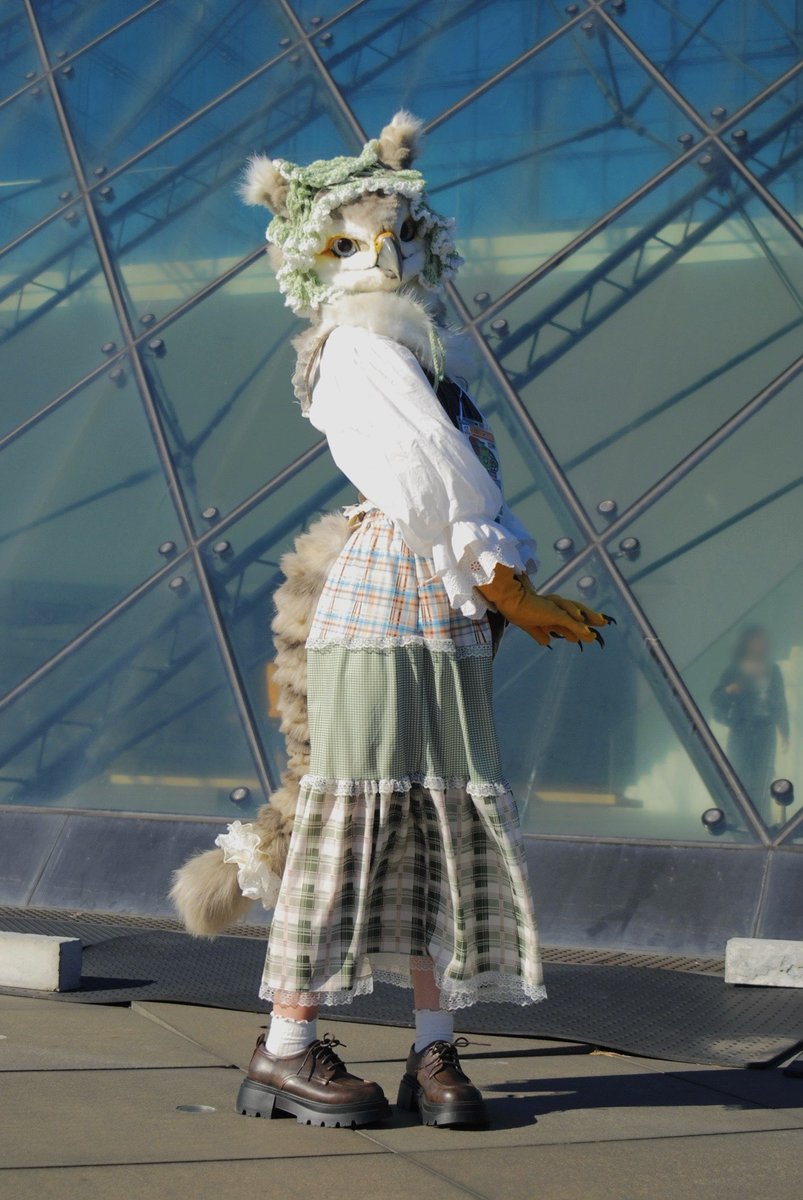 初イベントデビュー！
みんなほんとーに優しくて子供たちとも沢山遊べて、楽しくて全然時間足りなかったな〜🍃
これからもイベント参加していくからみんな遊ぼうねー！🐥
 #ケモエレ2025