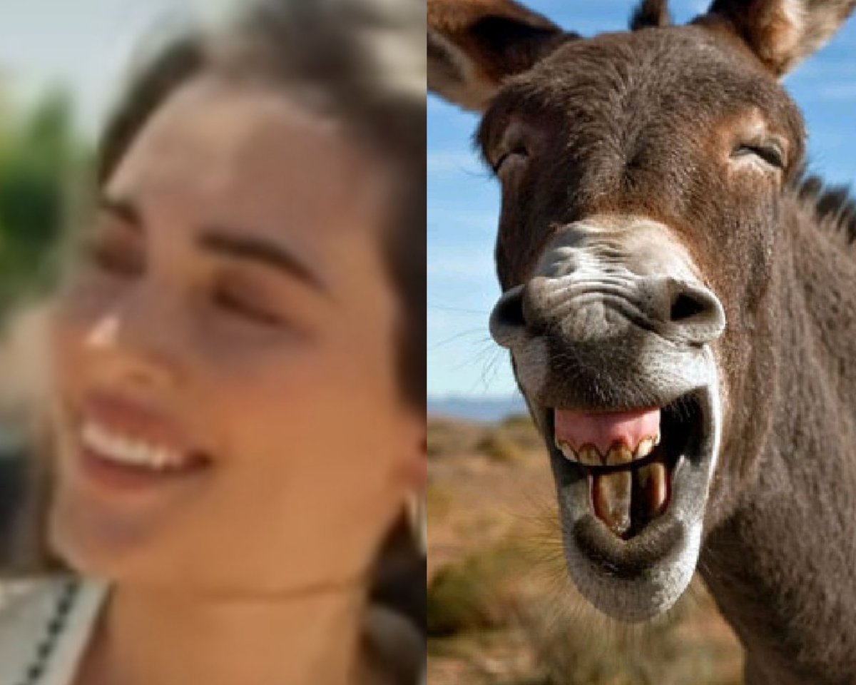 melisa45822's tweet photo. Anamın abime köyden getirdiği öve öve bitiremediği koca ağızlı gelin . 
Anne Allah bi göz rengi vermiş gerisini boşvermis diyemedim 😂😂😂 bazen sadece susarsın karşıdakinin koca ağzı dislekliği konuşur 😂😨 #uzakşehir #CihAl #sahnar https://t.co/ZjGxW6yILb
