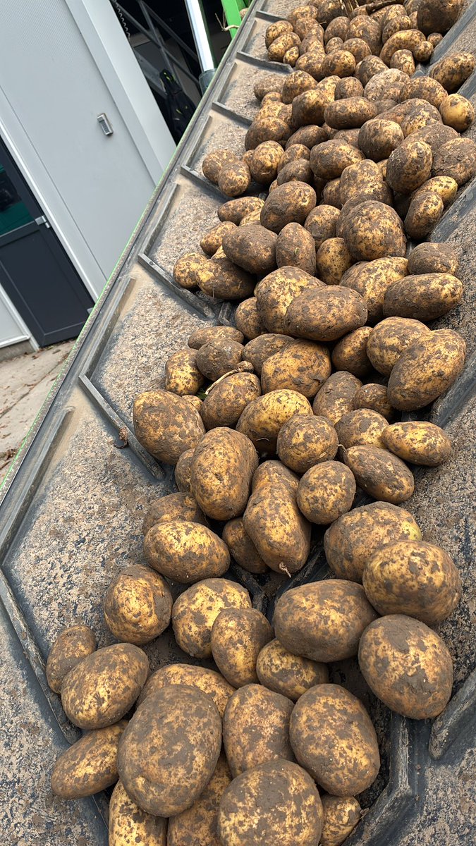 Arjan Beuling tweet media