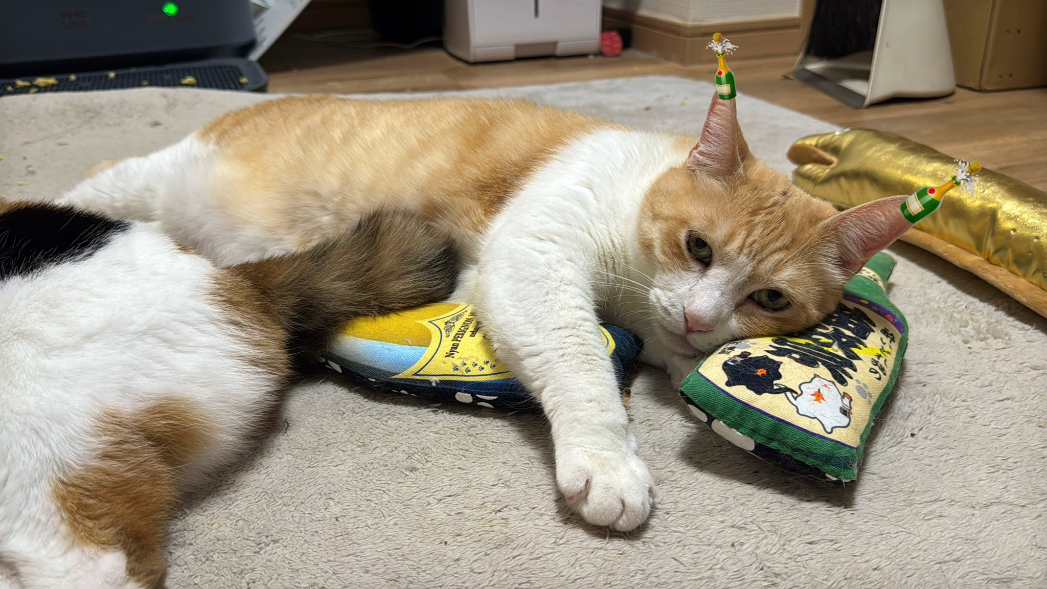 あつし》@猫と暮らしています on X: 