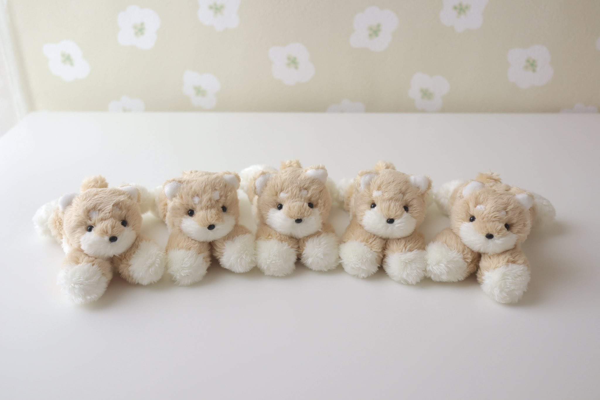 shiroi maru -しろい まる-❄️ぽんぽんとぬいぐるみ