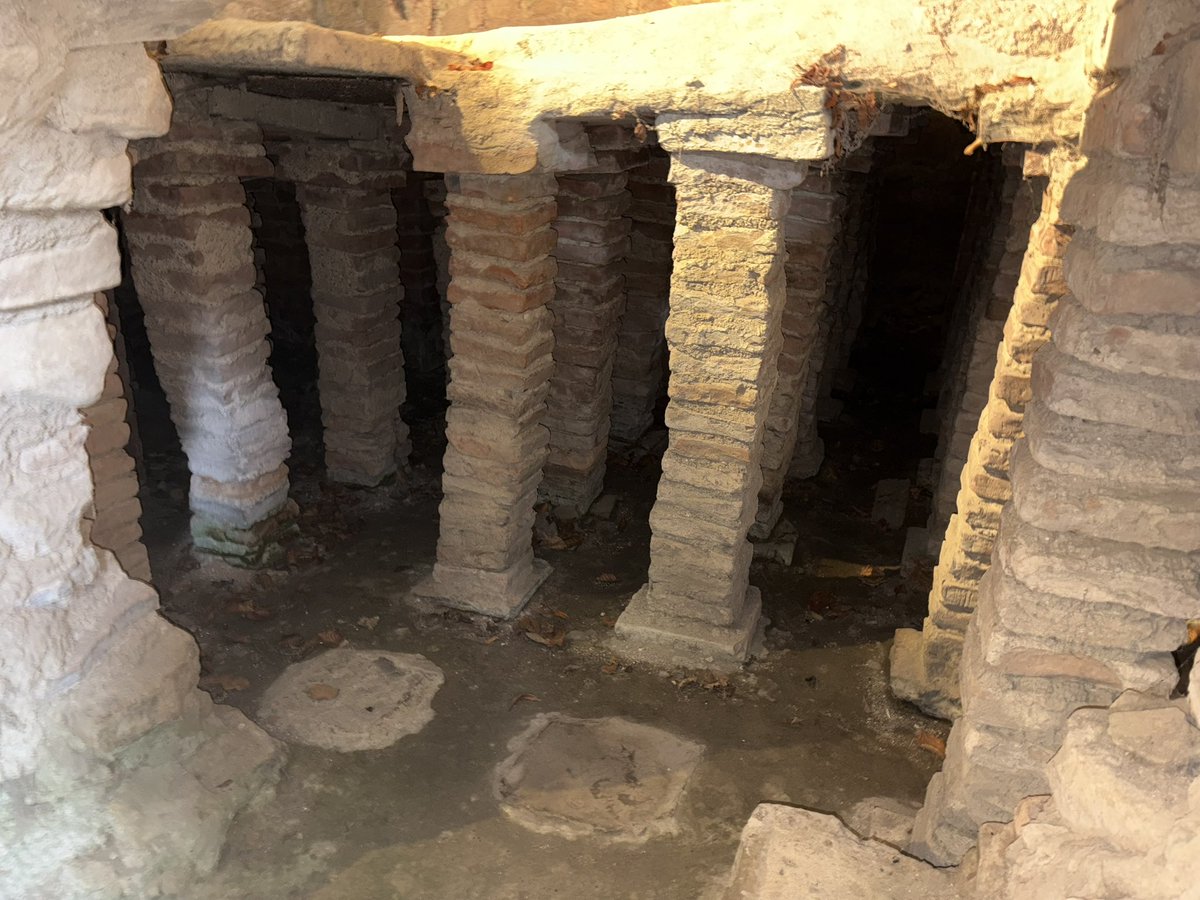 ζωή 🏳️🌈 tweet media