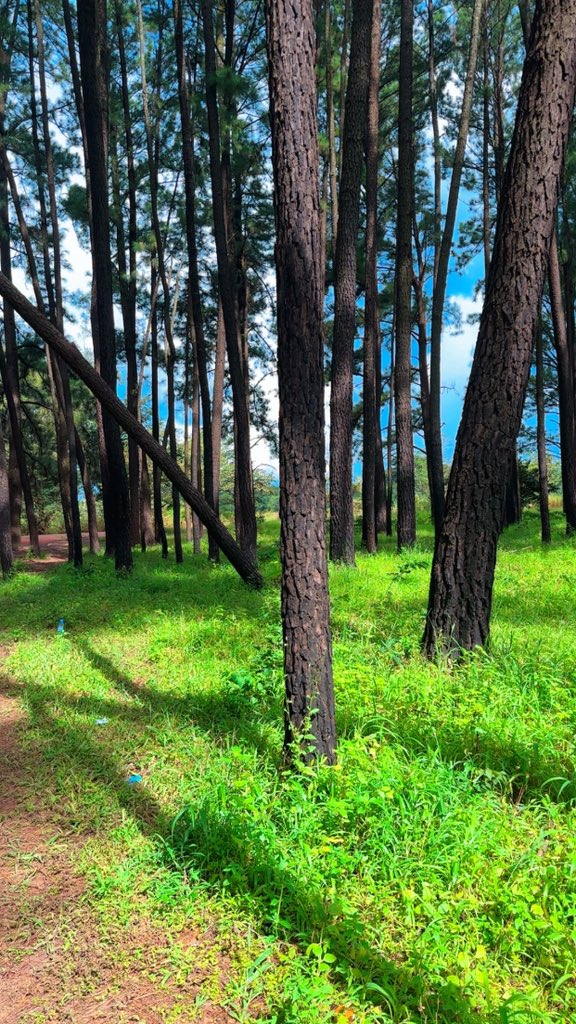 Guinea Culture&Tourism🇬🇳 tweet media