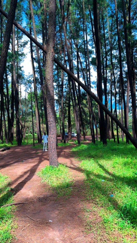 Guinea Culture&Tourism🇬🇳 tweet media