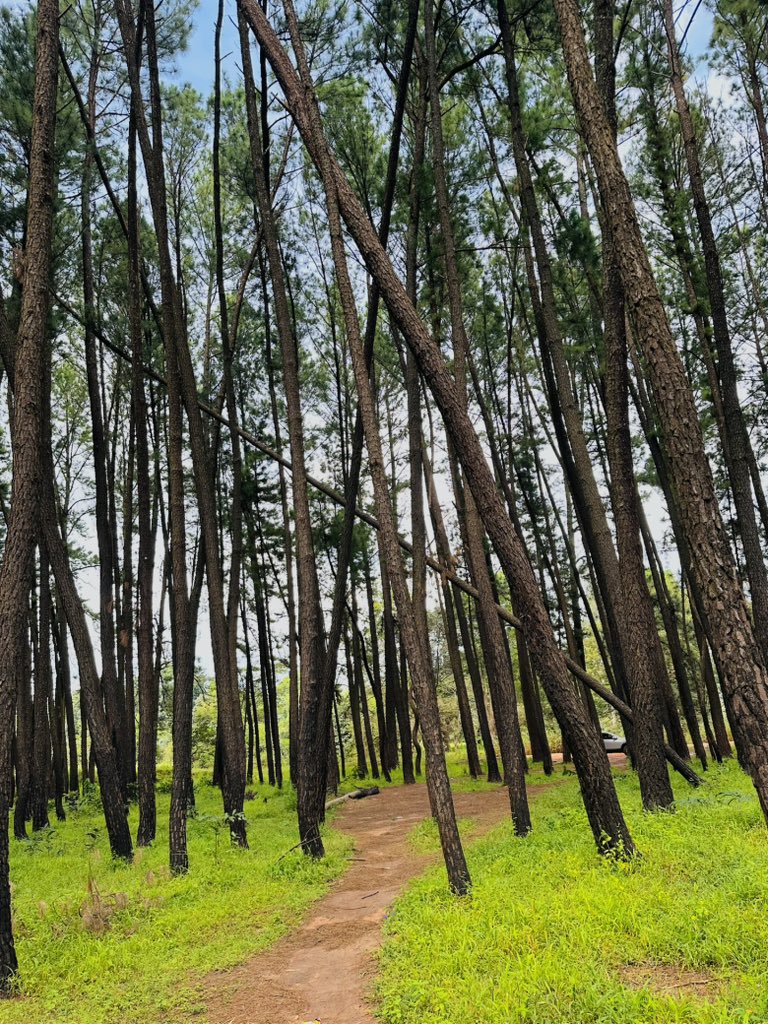 Guinea Culture&Tourism🇬🇳 tweet media