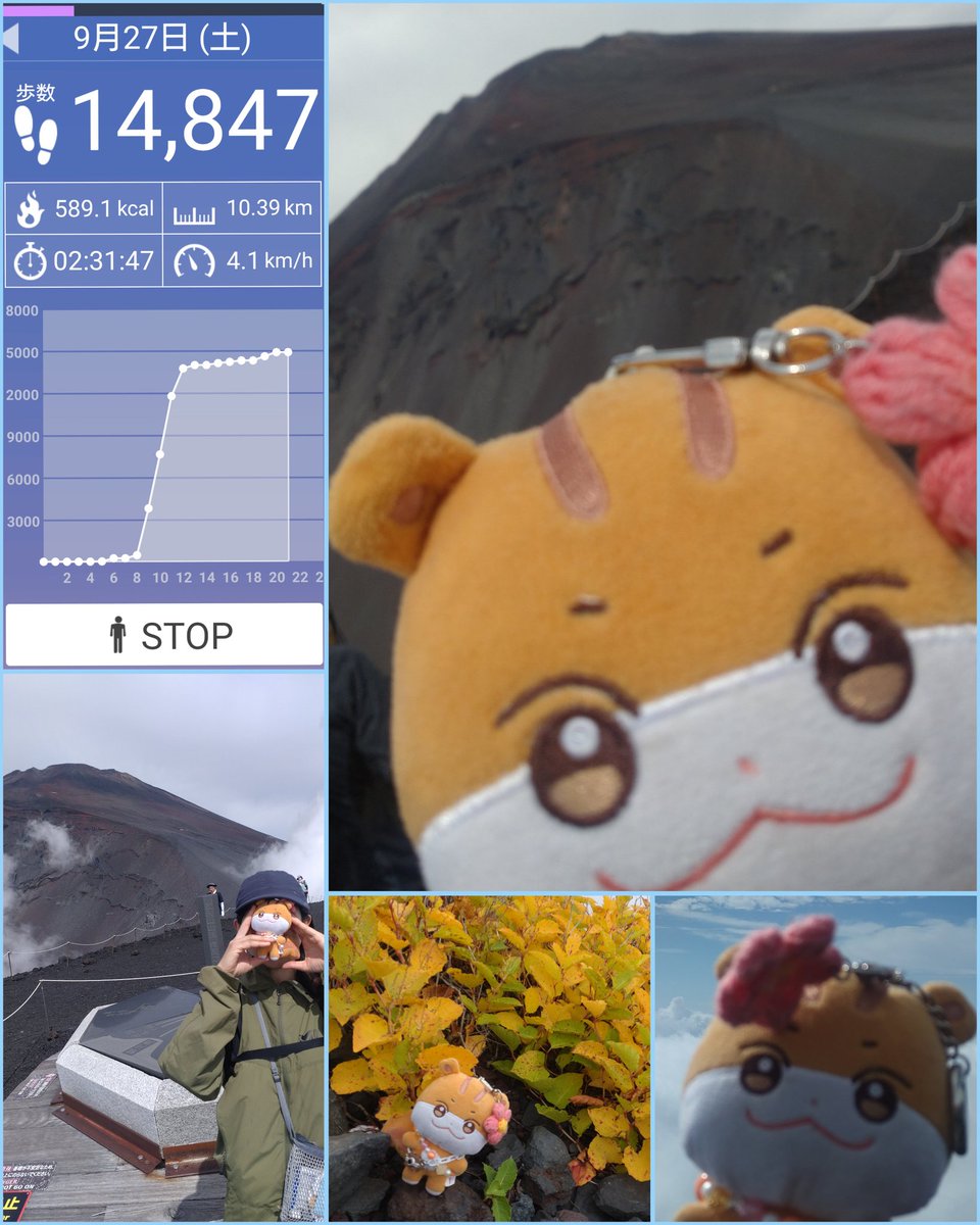 扁額　富士山 Yuu🐿🐥🏴‍☠🍋 (@yk3974smlv): 