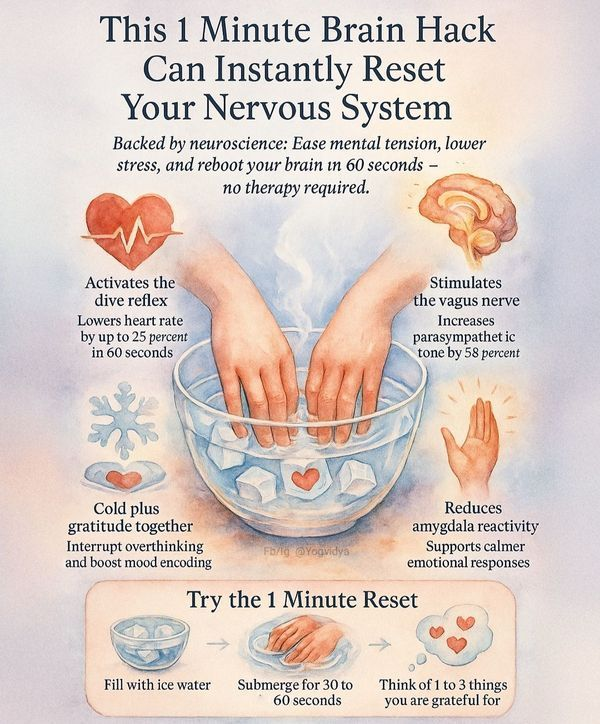 themedplan's tweet image. Cold water immersion 🖐️❄️ isn’t just refreshing—it’s therapeutic. It can balance your nervous system and bring instant calm. #NervousSystemReset #HolisticHealth